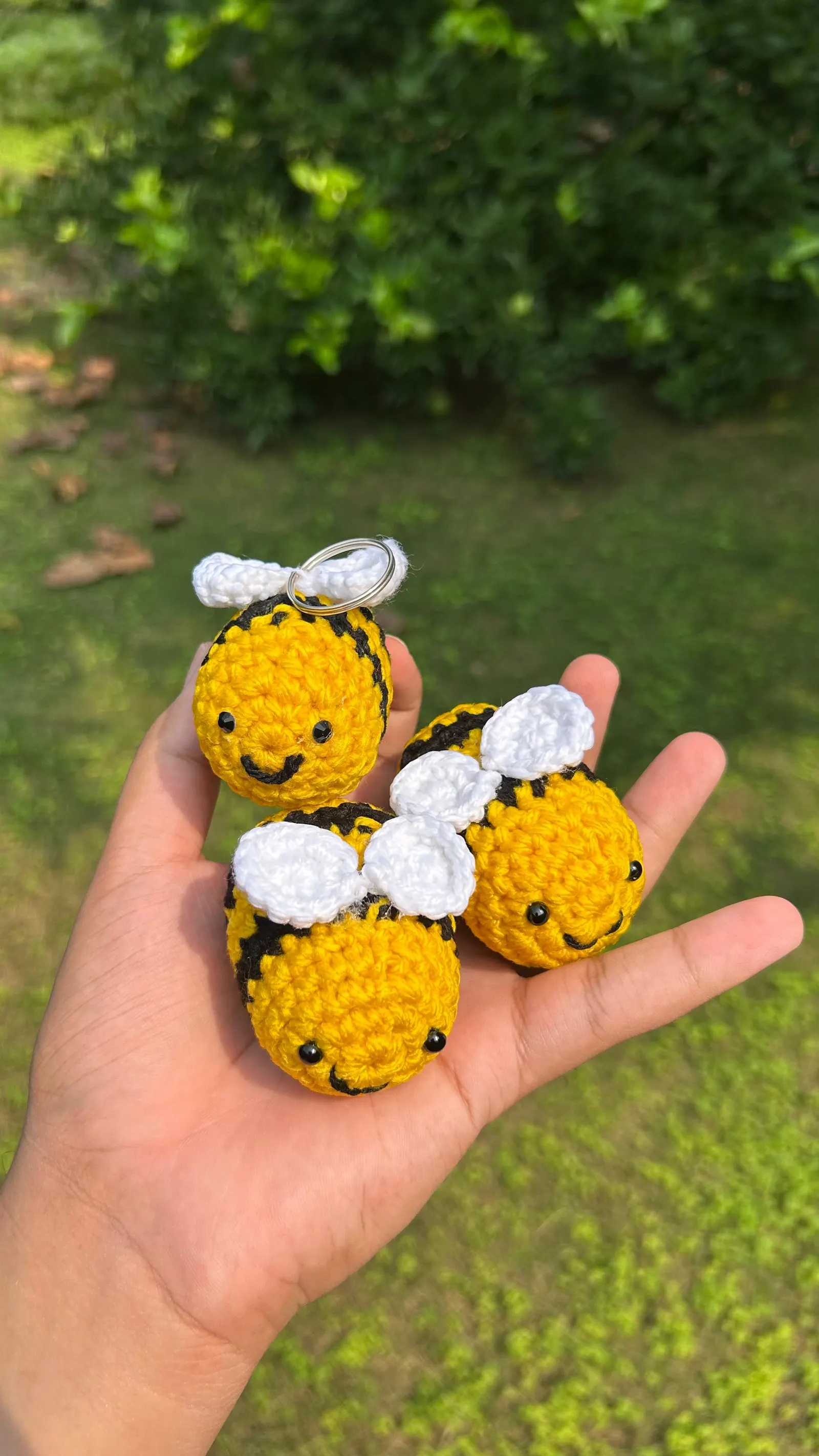 Honey Bee